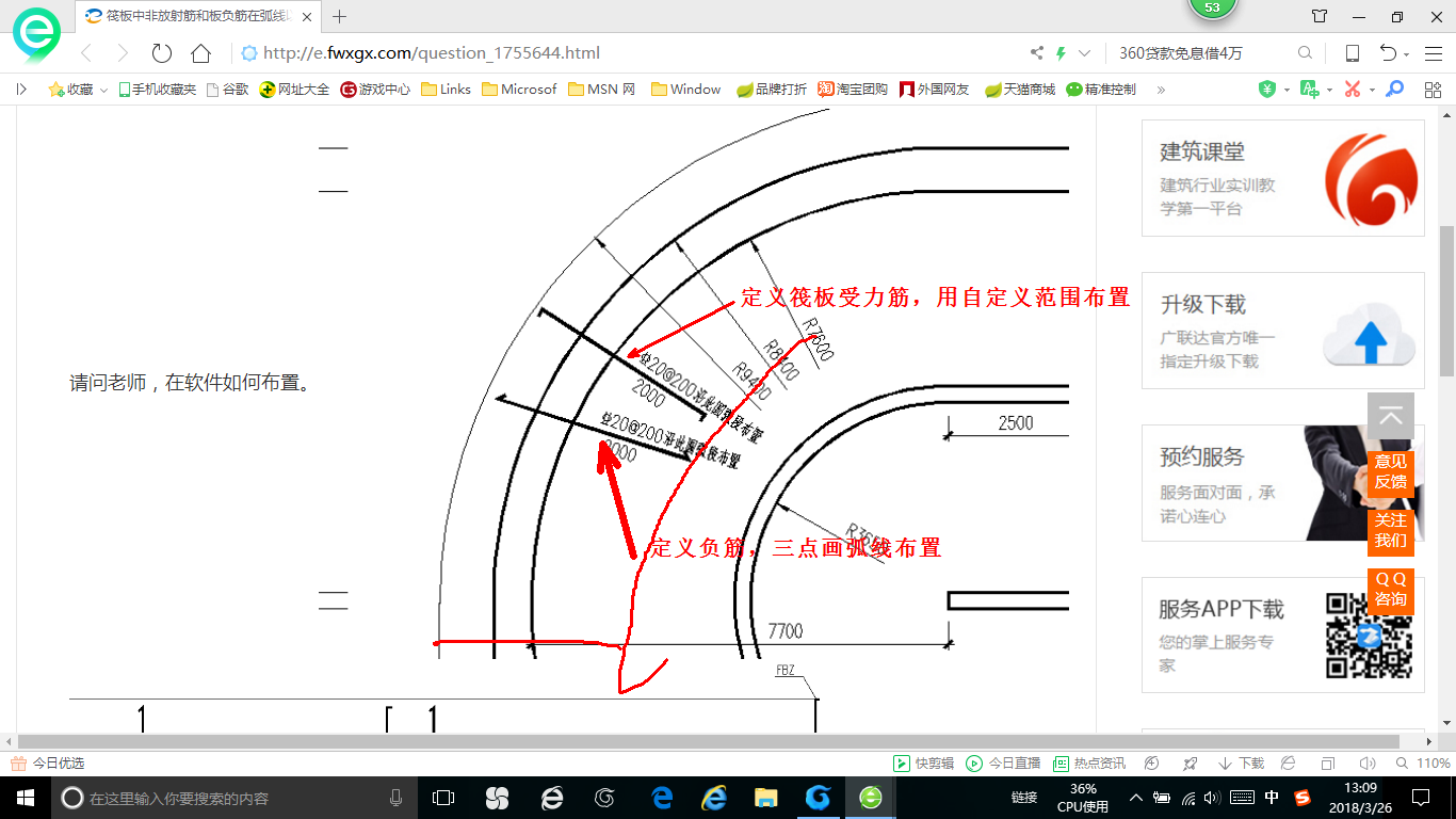 放射筋
