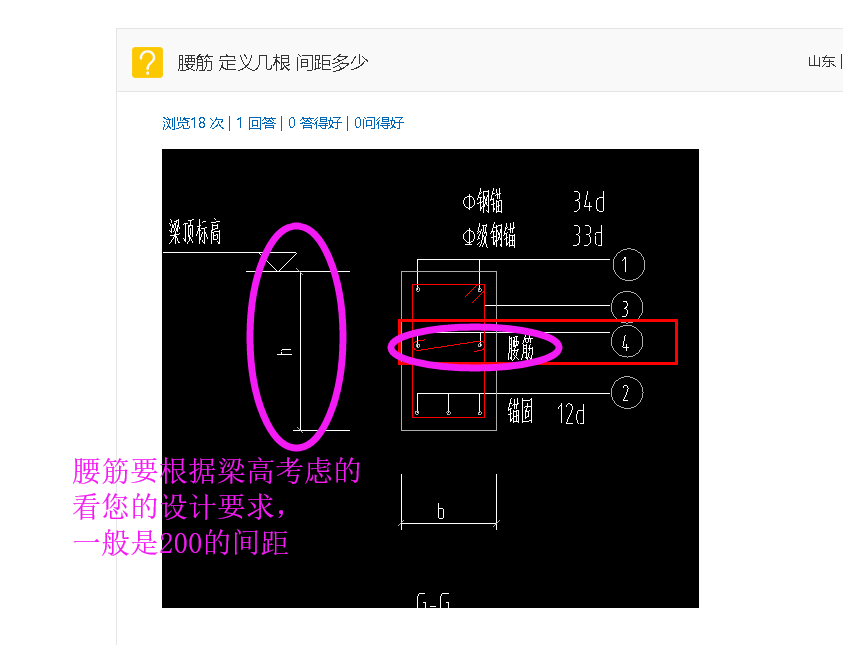 腰筋定义几根间距多少