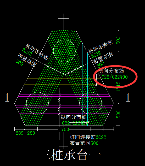 分布筋