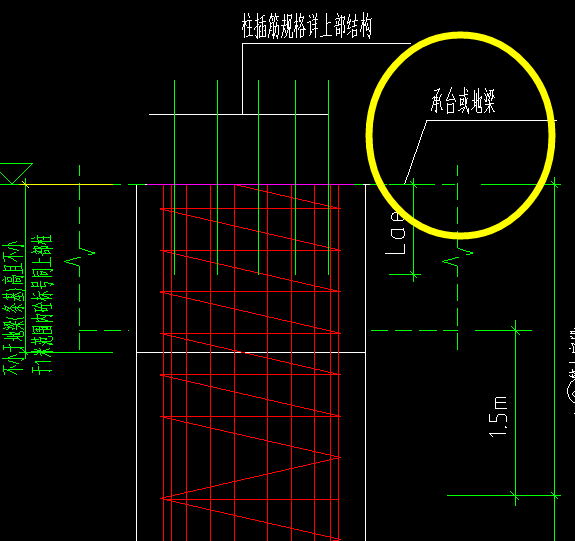 桩顶