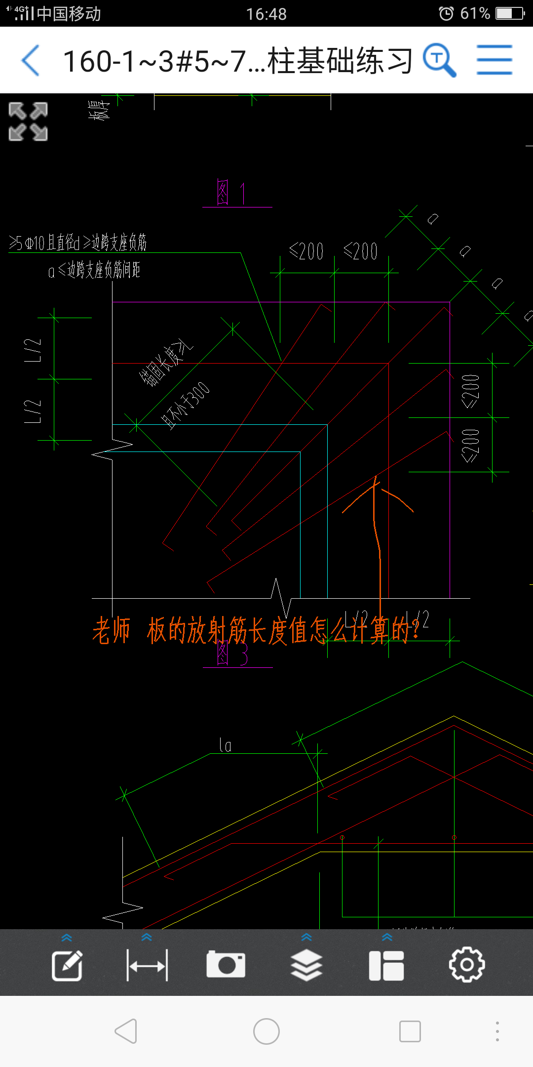 的放射筋