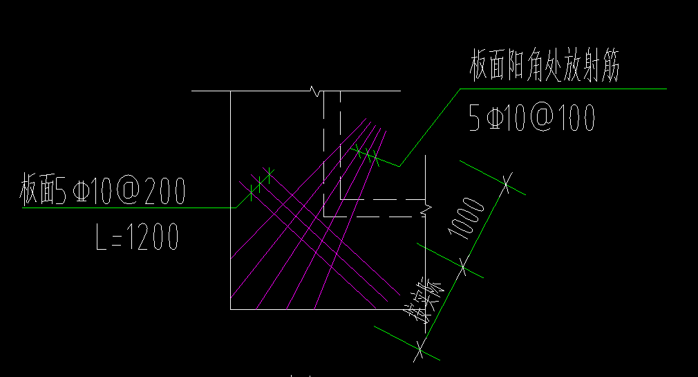 放射筋