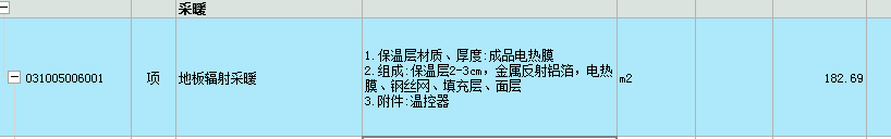 项目特征