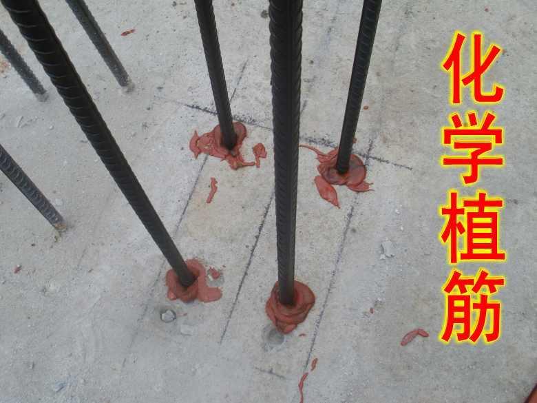 通長