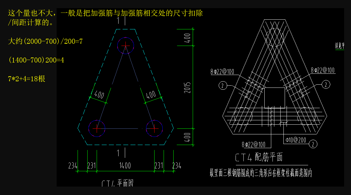 分布筋