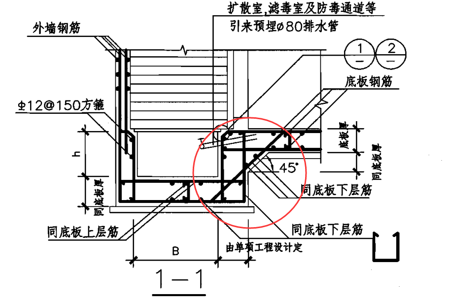 异形
