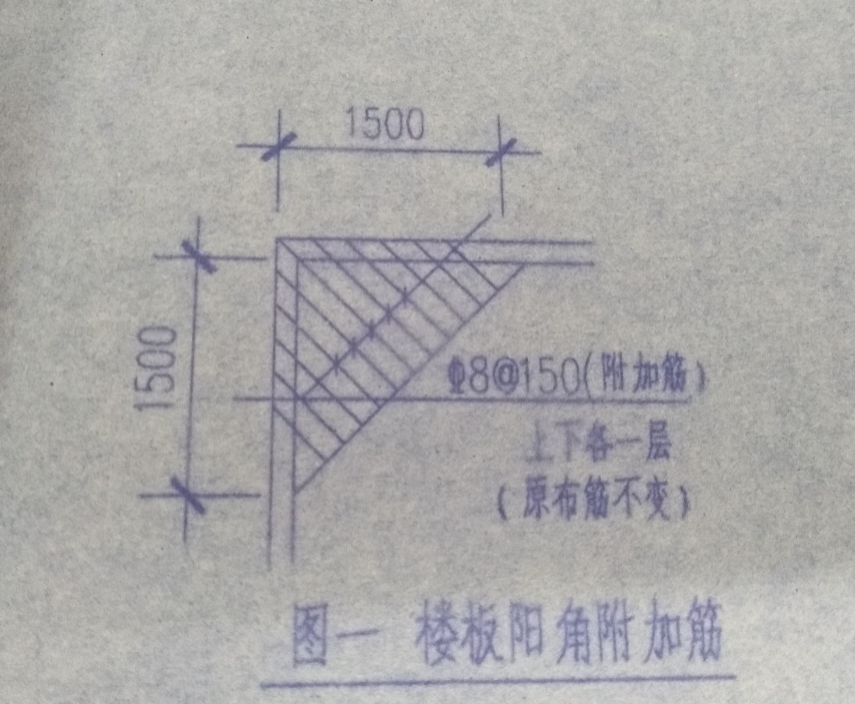 放射筋