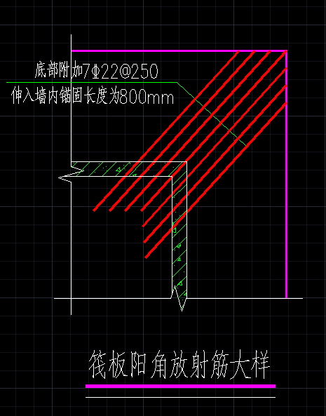 放射筋