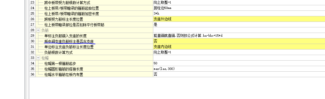 板中间支座负筋