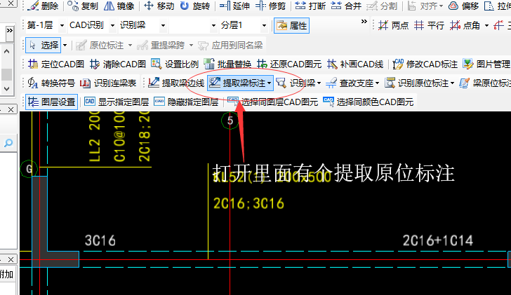 原位标注