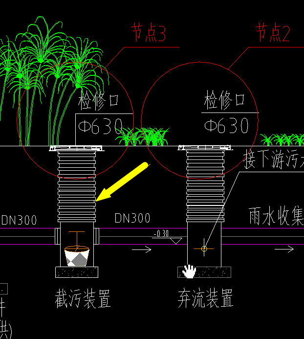 雨水