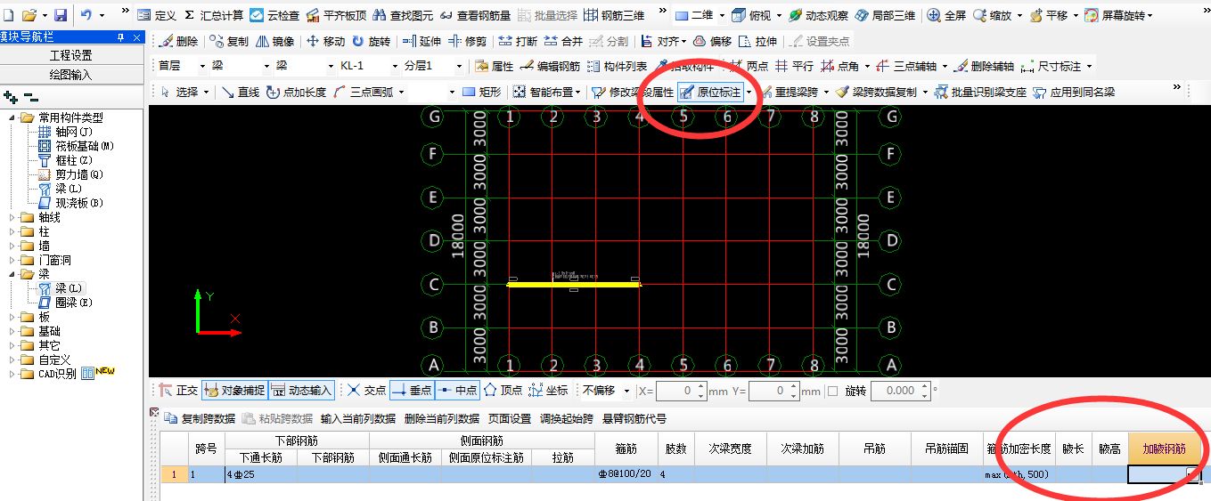 梁侧面