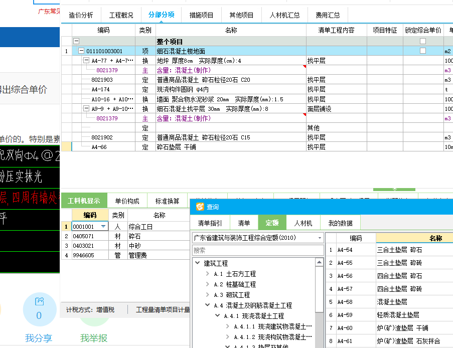 项目特征
