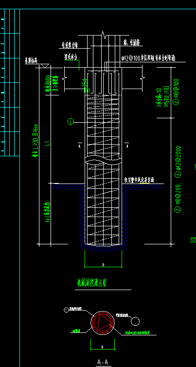 请问大神这个机械旋挖桩的钢筋怎么绘制