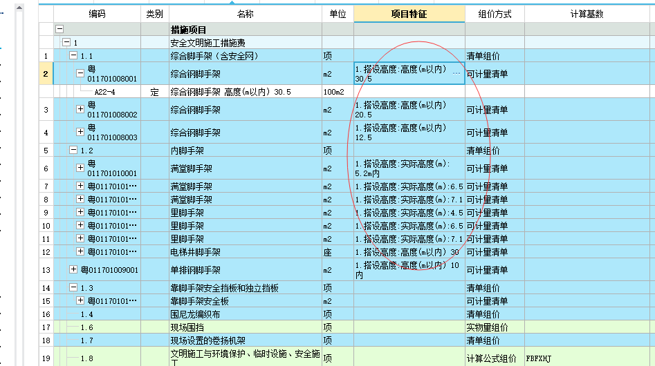 项目特征