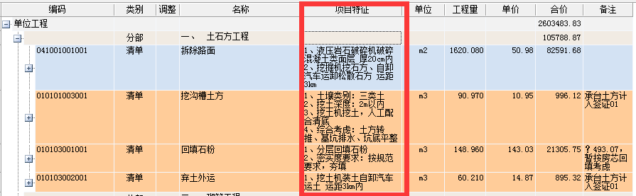 项目特征