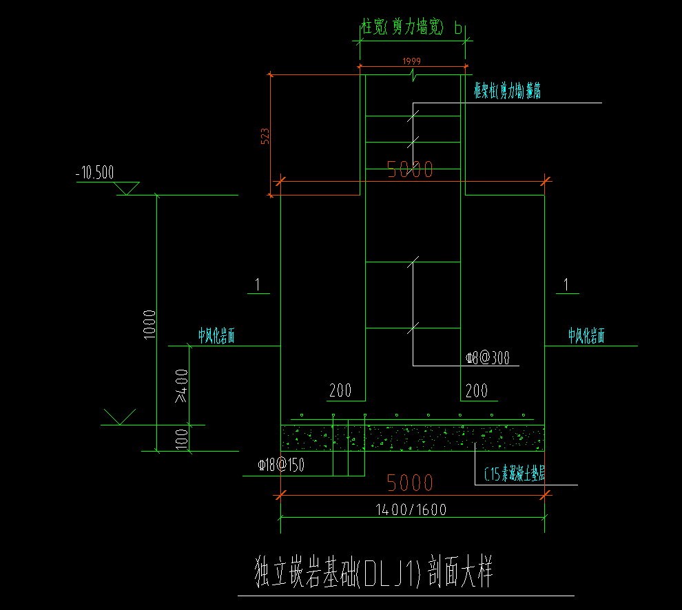 条基