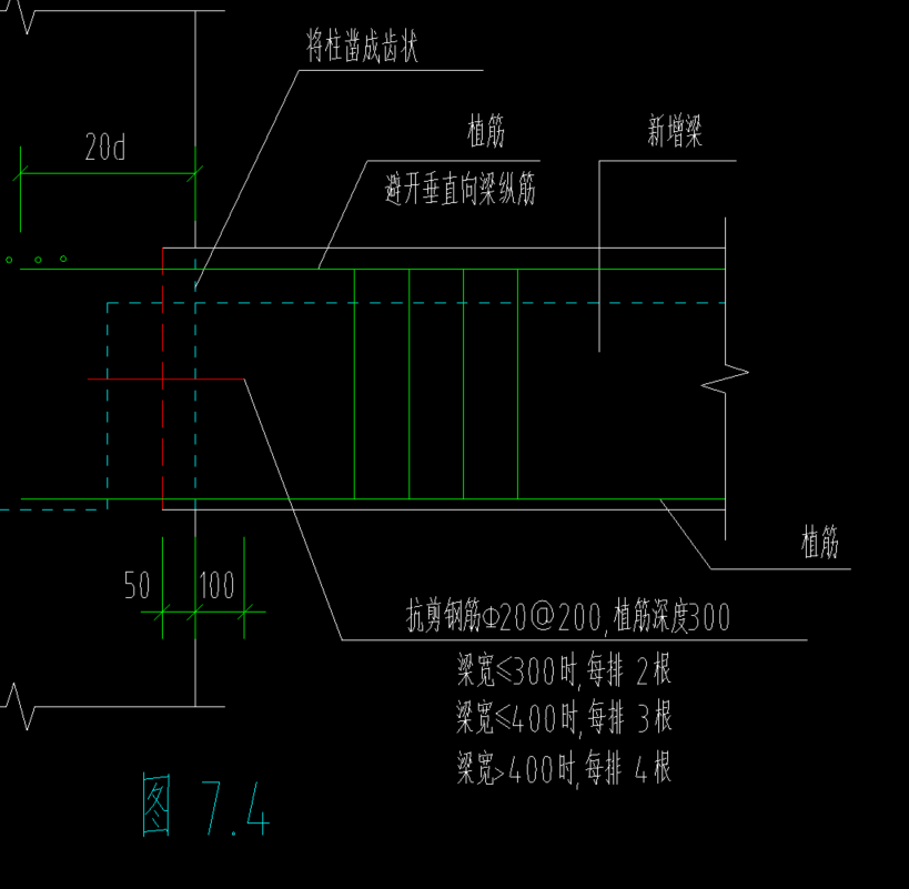 根数