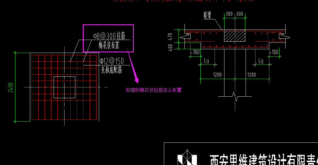 柱帽