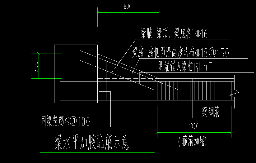加腋