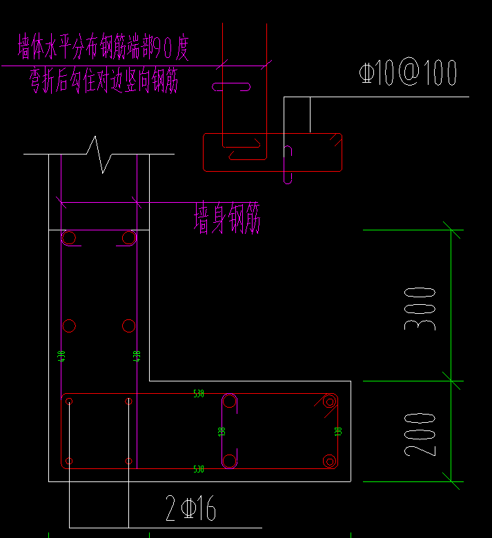 分布筋