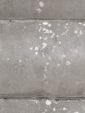 算量