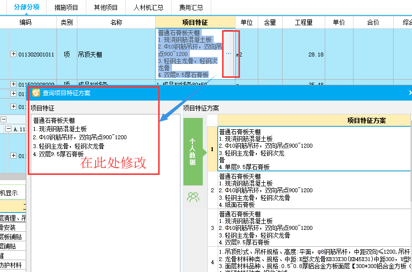 项目特征