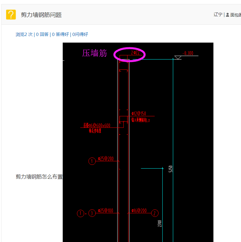 剪力墙钢筋