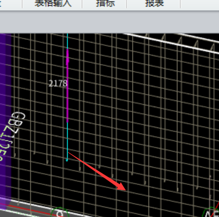 直筋