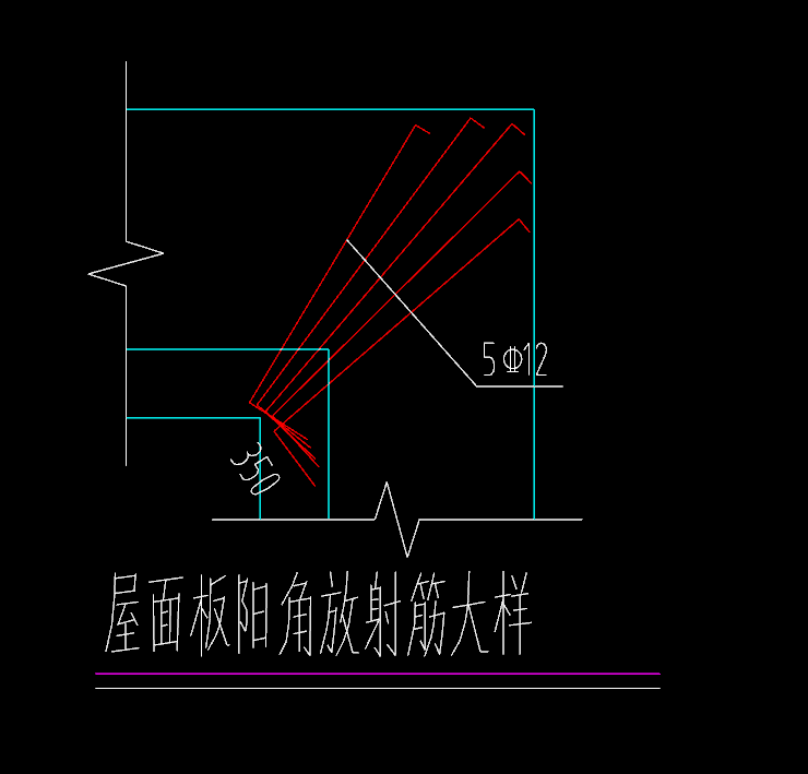 放射筋