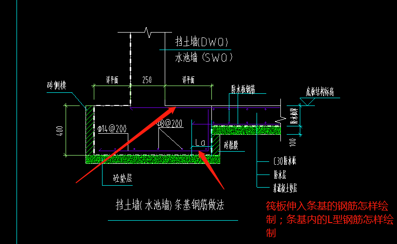 条基