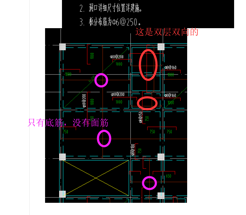 分布筋