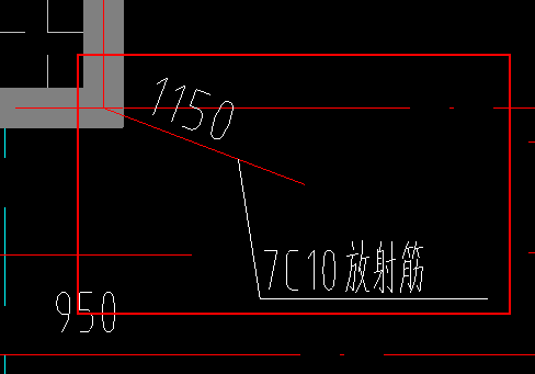 放射筋