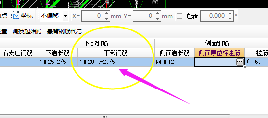 通长筋