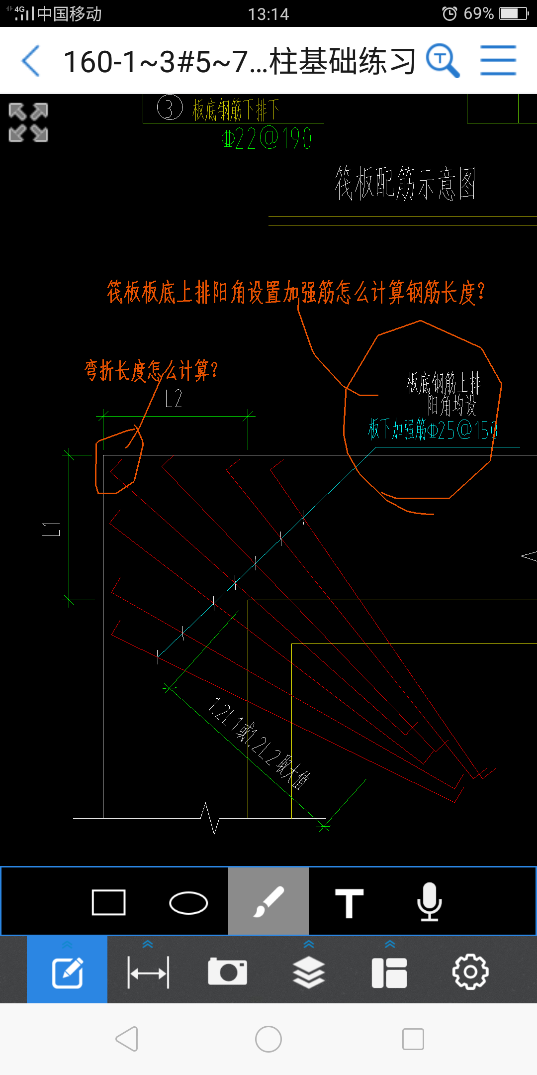 放射筋