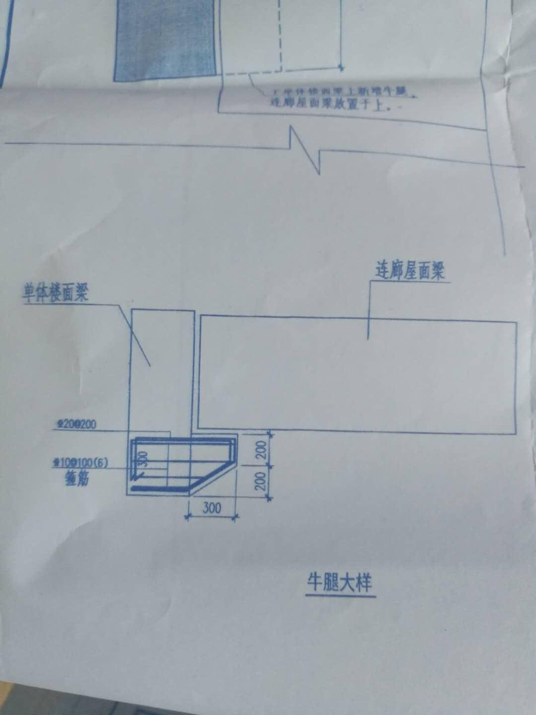 算牛腿的具体操作