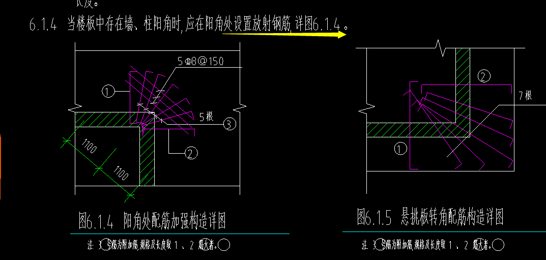 放射筋