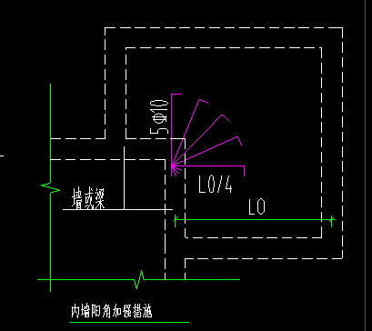 放射筋