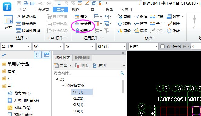 云检查