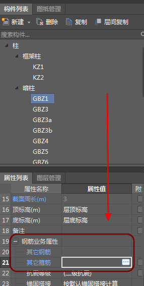 縱筋