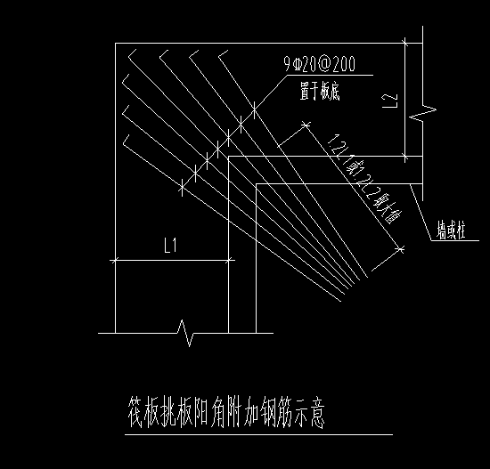 放射筋长度