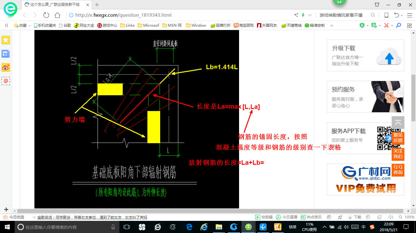 放射筋