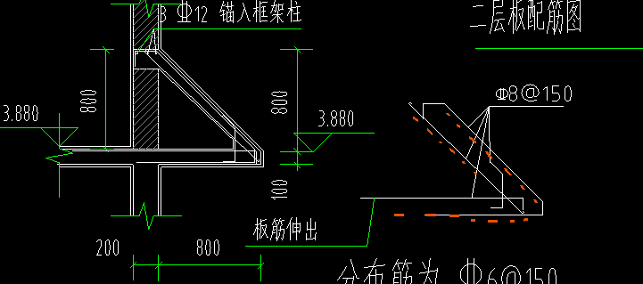 分布筋