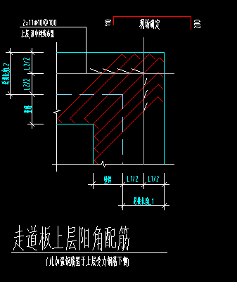 放射筋