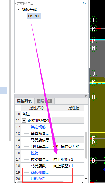 拉结筋