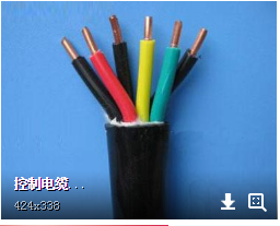 根数