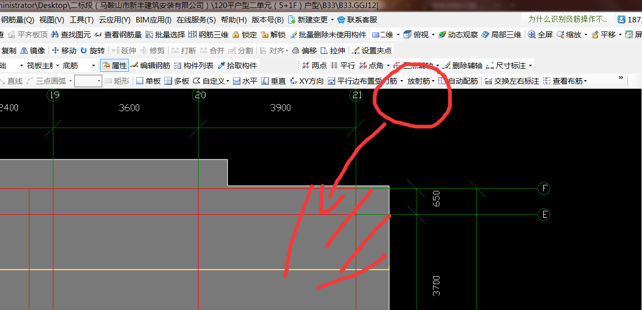 放射筋