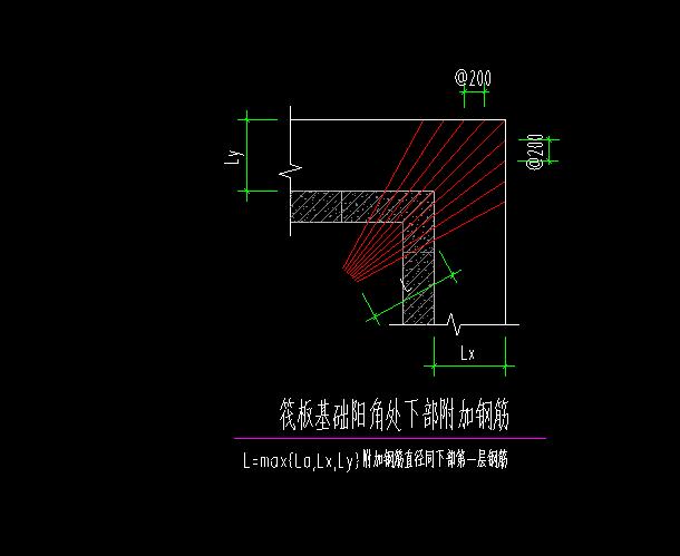 放射筋