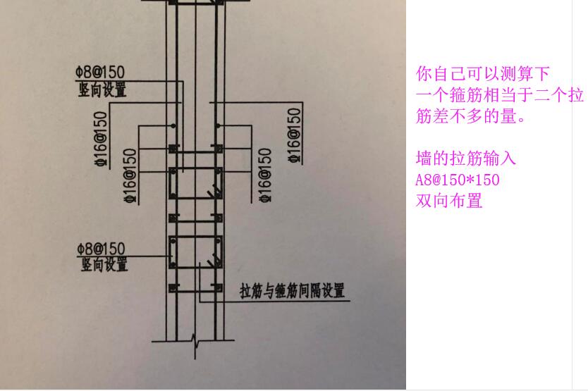 墙拉筋