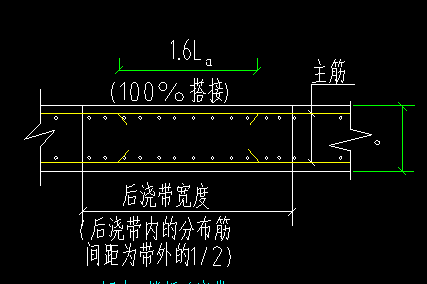 分布筋